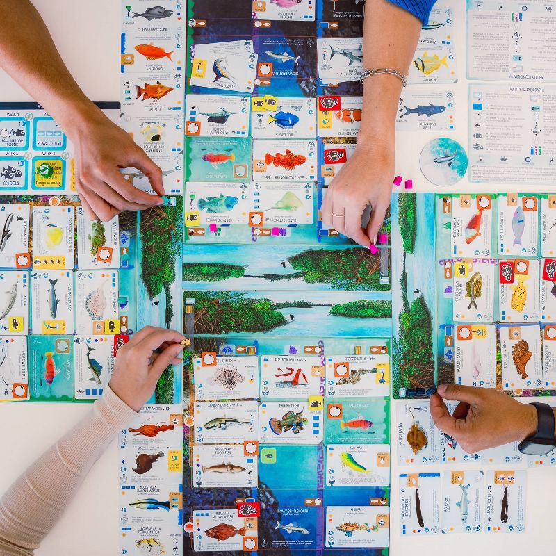 slide 3 of 5, Stonemaier Games Finspan Game, 1 ct