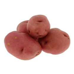 Organic Red Potato Size A