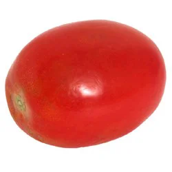 Fresh Organic Roma Tomatoes