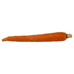 Org Carrot Bunch