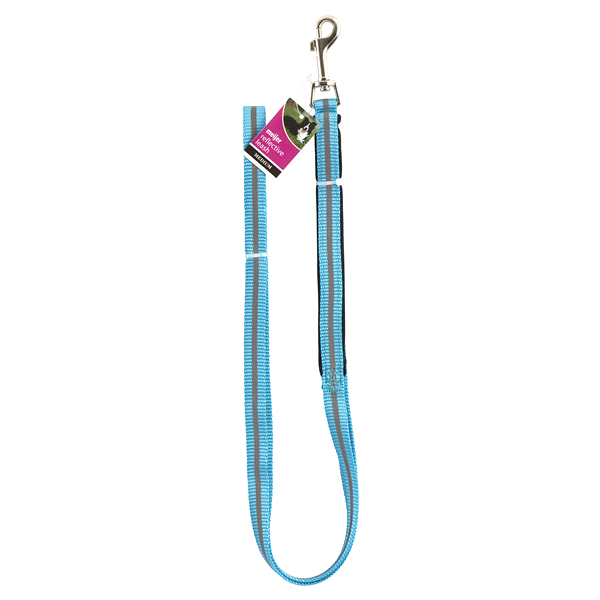 slide 1 of 1, Meijer Reflective Dog Leash, Medium, Blue, MED