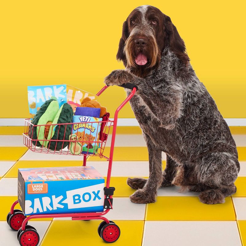 slide 5 of 7, BARK Beg-n-Bag Large Box Dog Plush Toy Set - 5pc, 5 ct