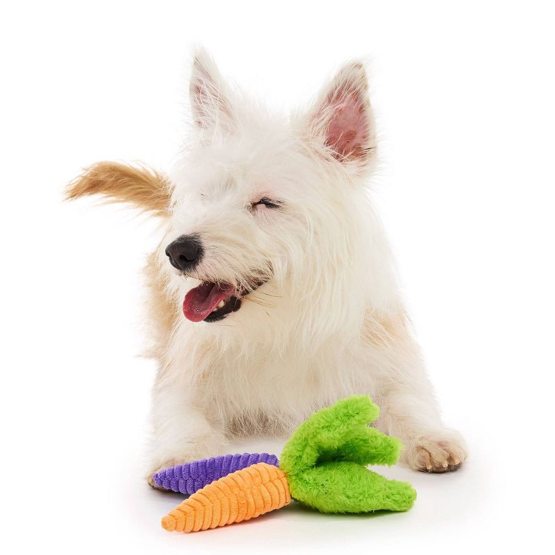 slide 4 of 7, BARK Beg-n-Bag Small Box Dog Plush Toy Set - 5pc, 5 ct