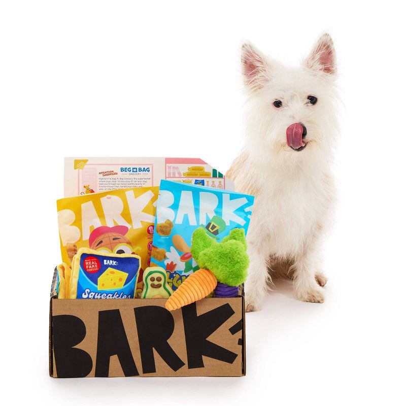 slide 6 of 7, BARK Beg-n-Bag Small Box Dog Plush Toy Set - 5pc, 5 ct