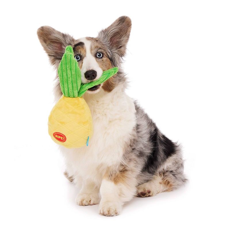 slide 3 of 7, BARK Beg-n-Bag Medium Box Dog Plush Toy Set - 5pc, 5 ct