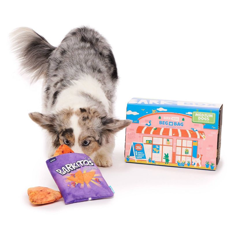 slide 4 of 7, BARK Beg-n-Bag Medium Box Dog Plush Toy Set - 5pc, 5 ct