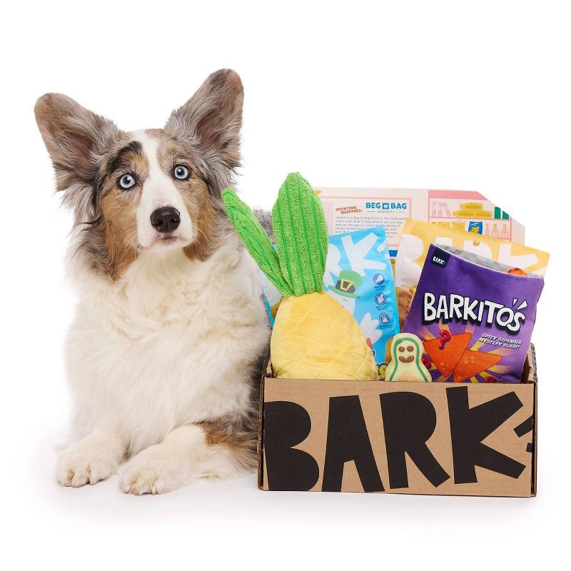 slide 6 of 7, BARK Beg-n-Bag Medium Box Dog Plush Toy Set - 5pc, 5 ct