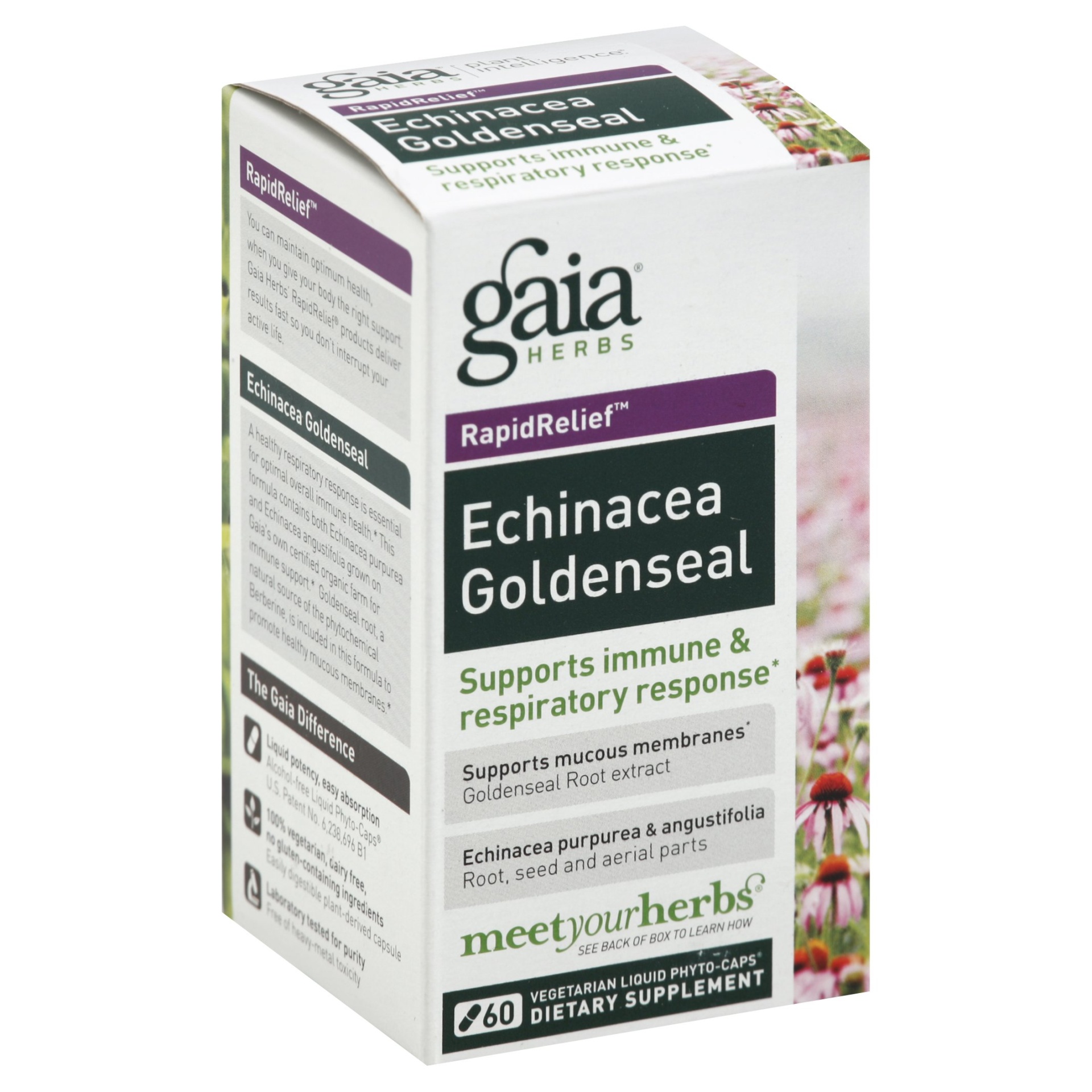 slide 1 of 1, Gaia Echinacea Goldenseal 60 ea, 60 ct