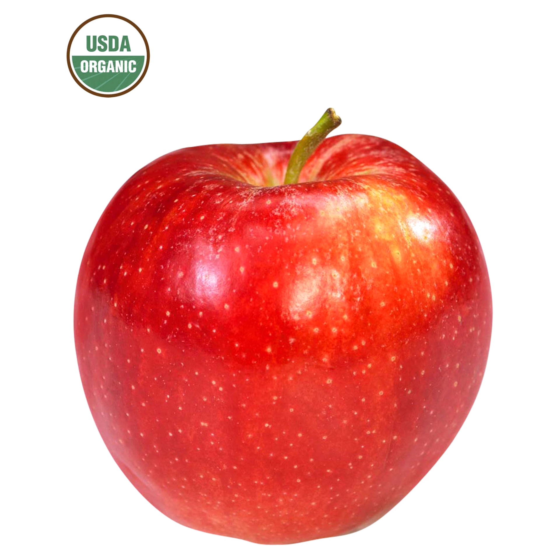 slide 1 of 1, Large Organic Gala Apple, 1 ct