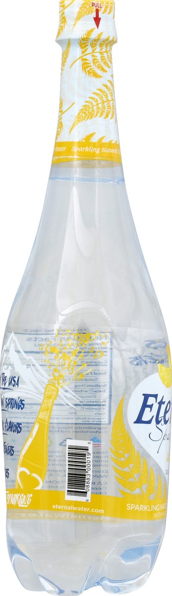 slide 2 of 5, Eternal Spring Water, Natural, Lemon, Sparkling - 33.8 fl oz, 33.8 fl oz