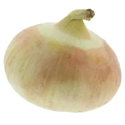 Organic Sweet Onions