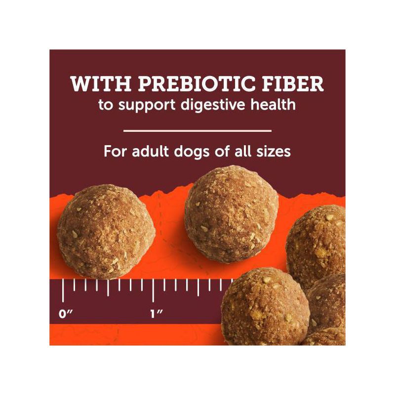 slide 8 of 10, Zukes Adventure Bites Chicken & Pumpkin Flavor Chewy Dog Treats - 6oz/6ct, 6 ct; 6 oz