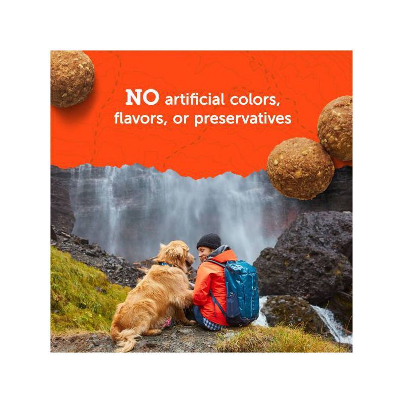 slide 10 of 10, Zukes Adventure Bites Chicken & Pumpkin Flavor Chewy Dog Treats - 6oz/6ct, 6 ct; 6 oz