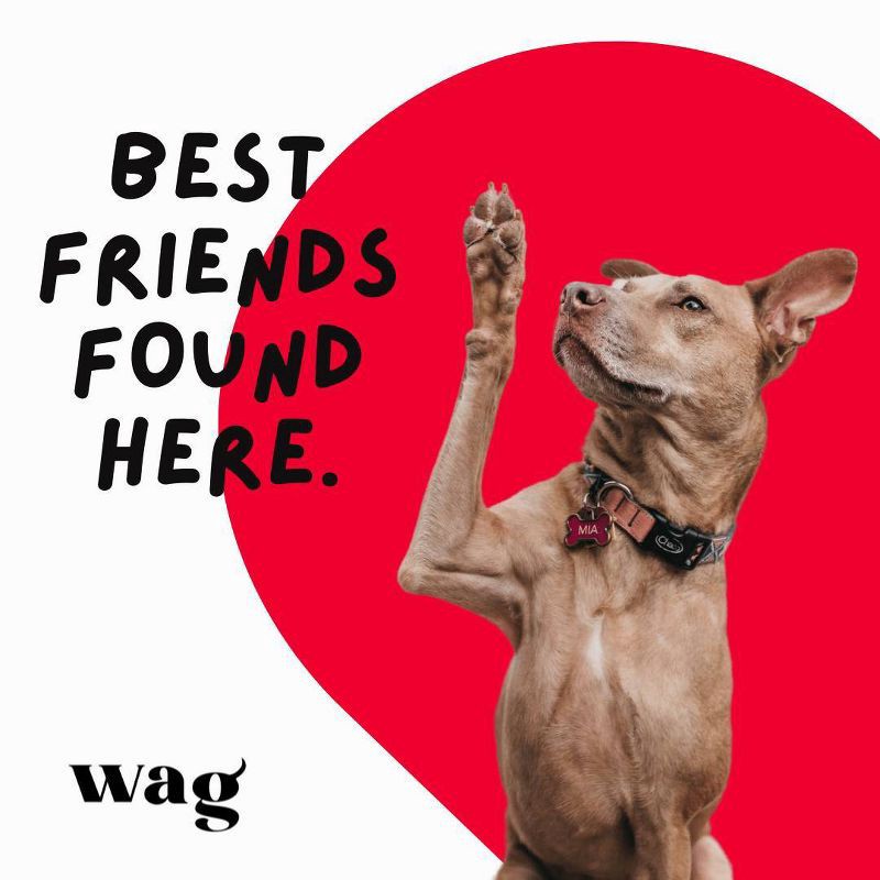 slide 2 of 7, Wag Cabernet Sauvignon Wine - 750ml Bottle, 750 ml