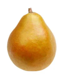 Pears Taylor Gold