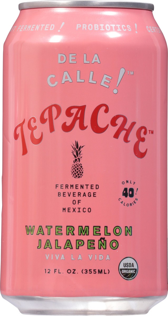 De La Calle Tepache Viva La Vida Watermelon Jalapeno Fermented Beverage ...