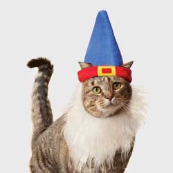 Gnome Cat Headpiece Costume - Boots & Barkley™ Blue One Size Fits Most