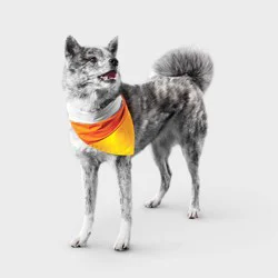 Reflective Candy Corn Costume Dog Bandana - Boots & Barkley™ One Size Fits Most