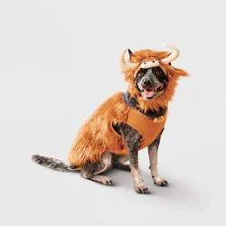 Highland Cow Hoodie Dog Full Body Costume - Boots & Barkley™ Light Brown L