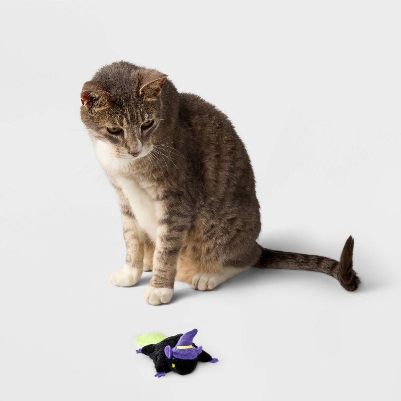 slide 2 of 3, Flying Squirrel Cat Plush Toy - Boots & Barkley™, 1 ct