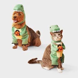 Dino with Pumpkin T-Rex Pail Dog and Cat Frontal Costume - Boots & Barkley™ Light Green S