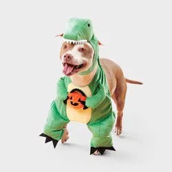 Dino with Pumpkin T-Rex Pail Dog Frontal Costume - Boots & Barkley™ Light Green XL