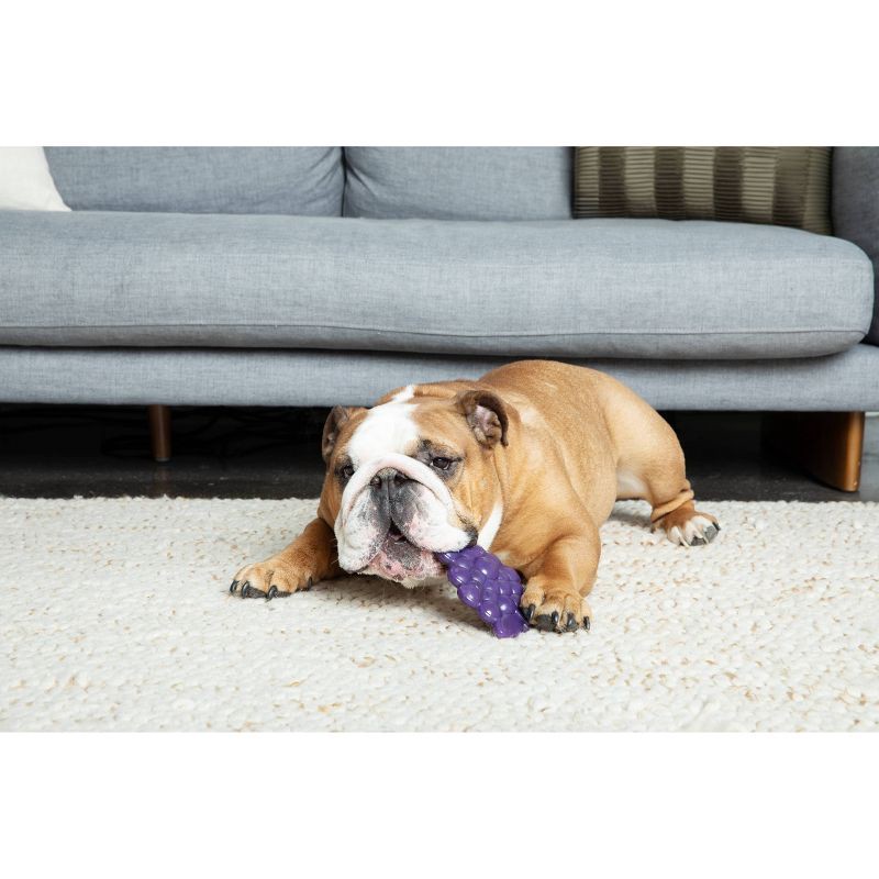 slide 3 of 3, Bullymake Tough Chew Grapes and Beef Flavor Dog Food Shaped Toy, 1 ct