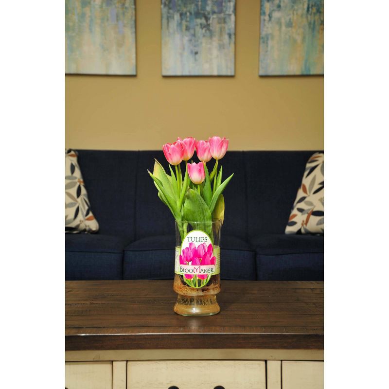 slide 2 of 3, Tulips in Vienna Vase - Good Little Garden™, 1 ct