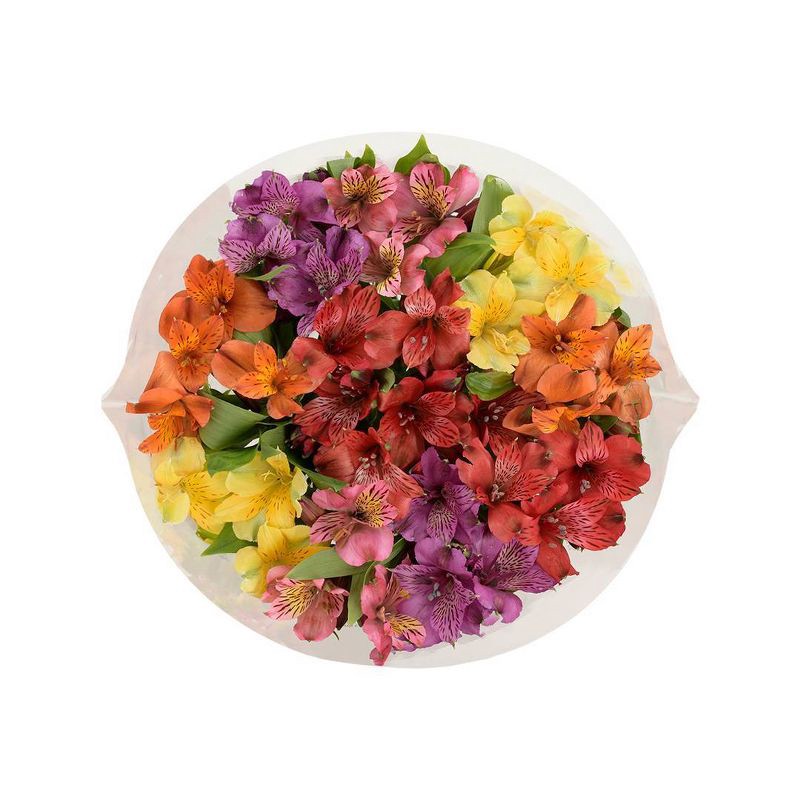 slide 2 of 7, Distributed by Vendor Rainbow Alstroemeria Bunch - Good Little Garden™, 1 ct