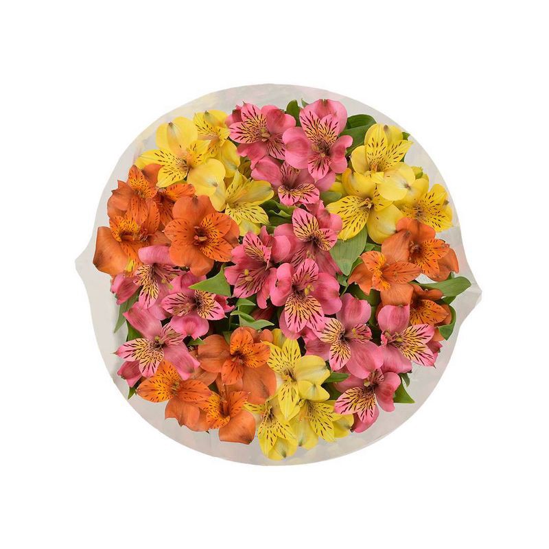slide 3 of 7, Distributed by Vendor Rainbow Alstroemeria Bunch - Good Little Garden™, 1 ct