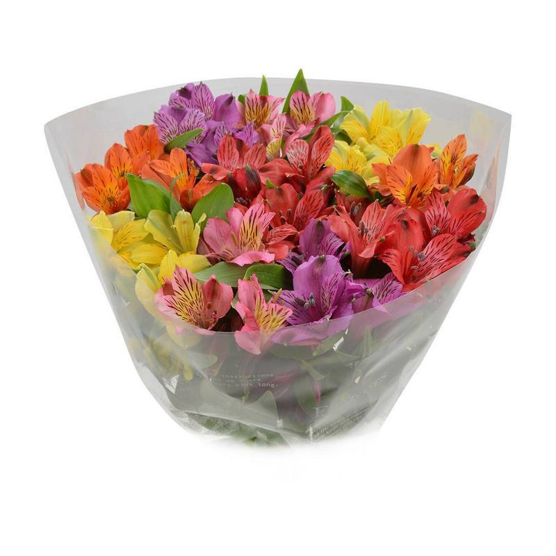 slide 4 of 7, Distributed by Vendor Rainbow Alstroemeria Bunch - Good Little Garden™, 1 ct