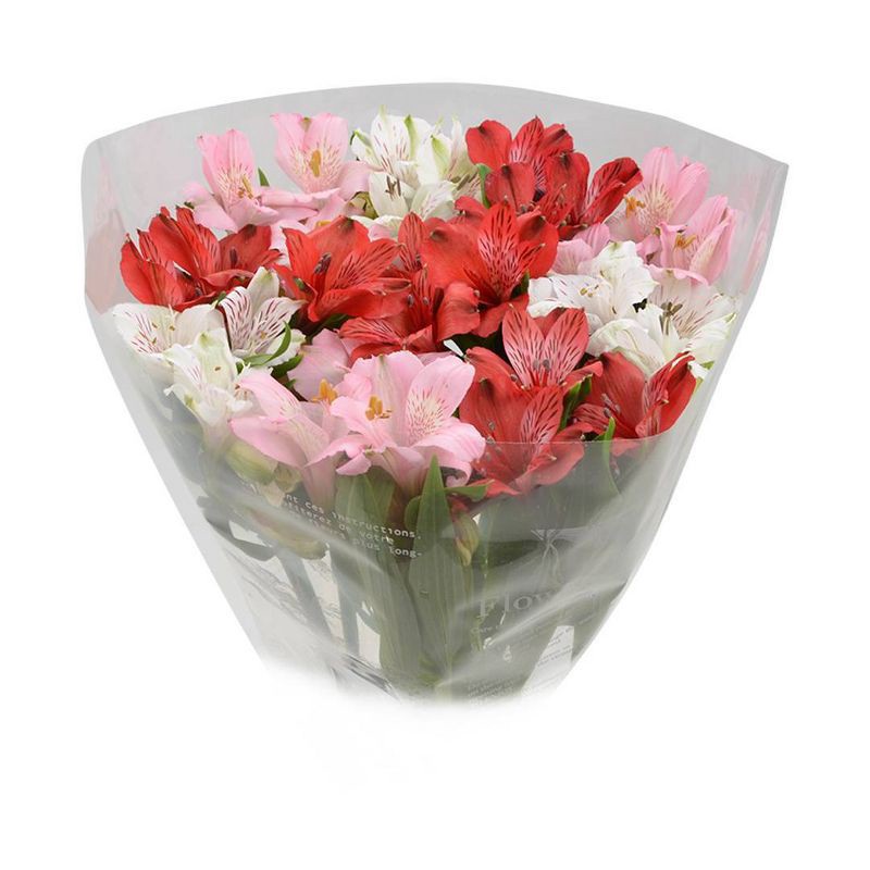 slide 6 of 7, Distributed by Vendor Rainbow Alstroemeria Bunch - Good Little Garden™, 1 ct