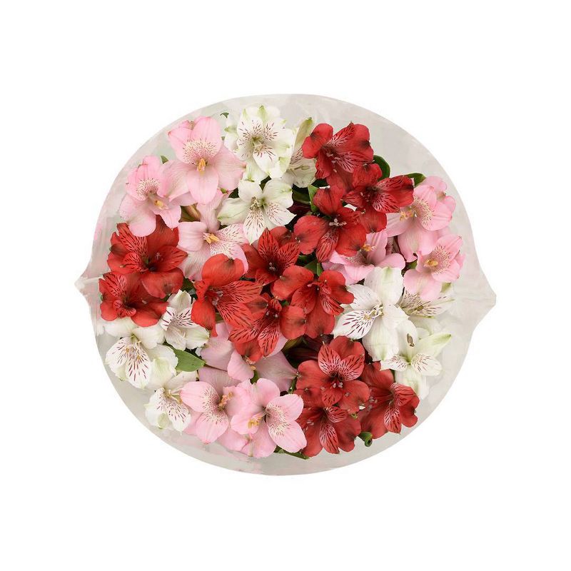 slide 7 of 7, Distributed by Vendor Rainbow Alstroemeria Bunch - Good Little Garden™, 1 ct