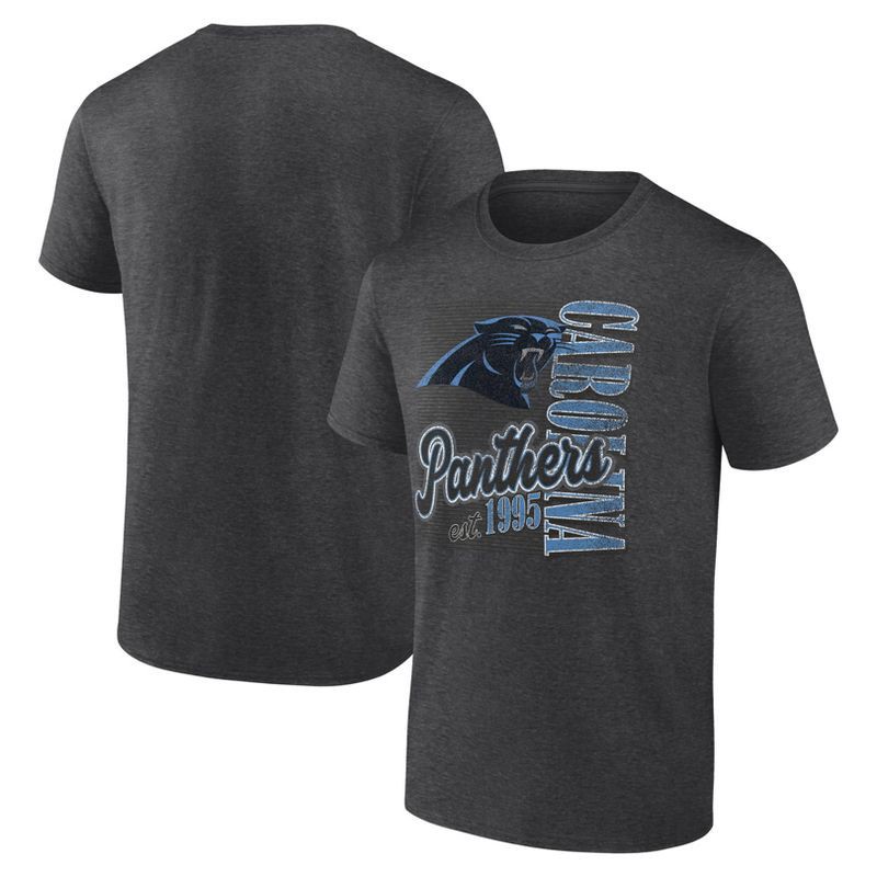 slide 3 of 3, NFL Carolina Panthers Men's Gray Short Sleeve T-Shirt - S, 1 ct