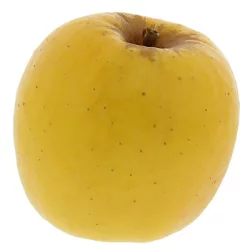 Produce Apple 1 ea
