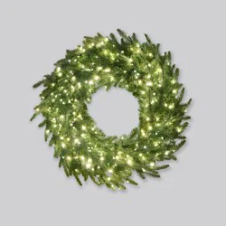 Philips 30" High Density Led Wreath
