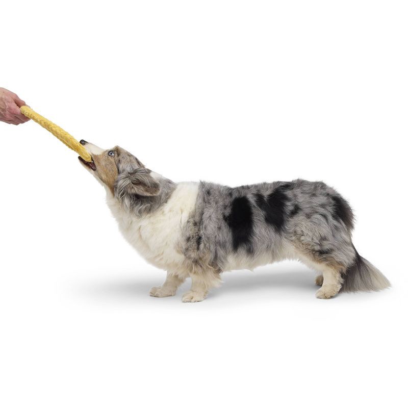 slide 3 of 6, BARK Sniffin Booty Golden Dogbloon Dog Flying Disc Plush Toy, 1 ct