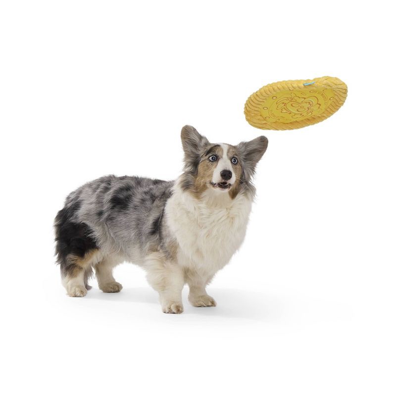 slide 5 of 6, BARK Sniffin Booty Golden Dogbloon Dog Flying Disc Plush Toy, 1 ct