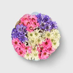 Fresh Cut Enhanced Easter Daisy Flower Bunch - Good Little Garden™