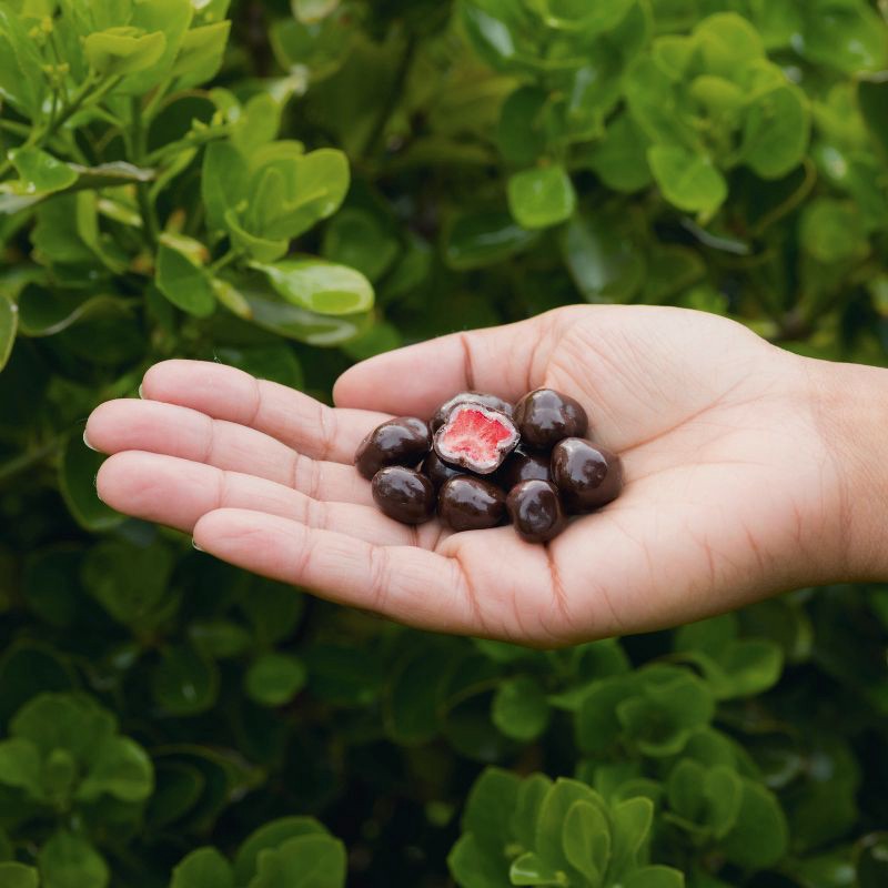 slide 5 of 8, Tru Fru Freeze Dried Strawberries in Dark and White Chocolate - 1.7oz, 1.7 oz