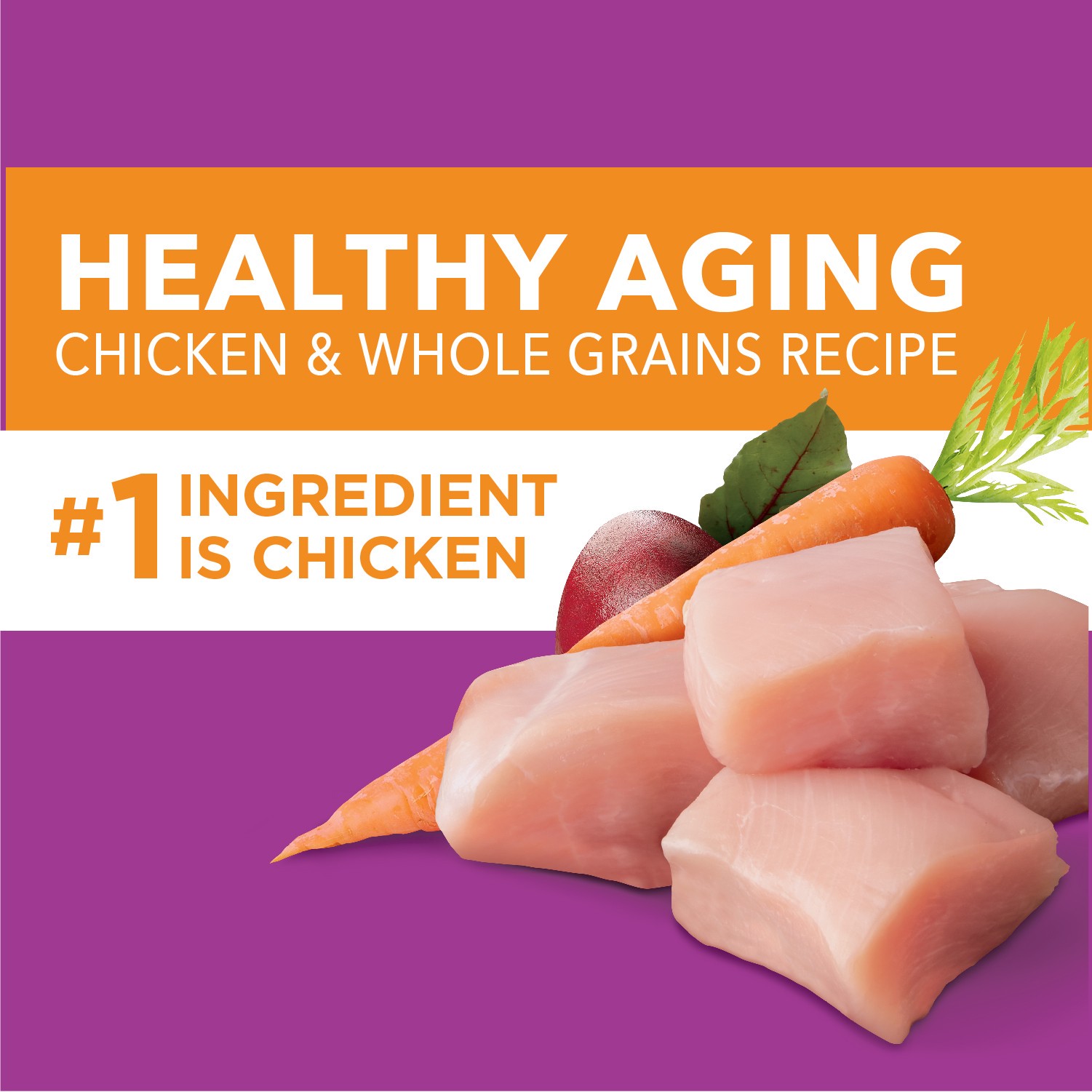 slide 5 of 6, Proactive Health Mature 7+ Healthy Aging Super Premium Chicken & Whole Grain Recipe Dog Food 29.1 lb, 29.10 lb