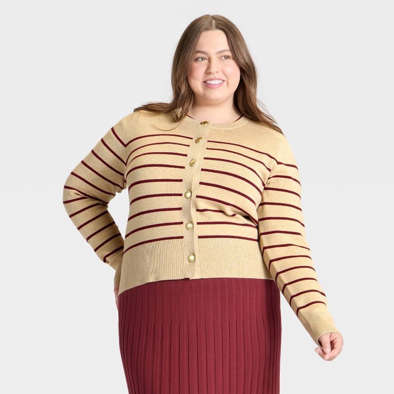 slide 1 of 3, Women's Lady Jacket Cardigan Sweater - A New Day™ Taupe/Burgundy Striped XXL, 1 ct