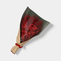 Red Floral Preserved Christmas Bundle - Threshold™