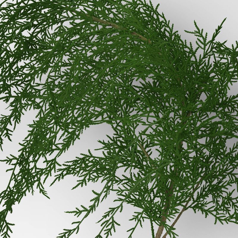 slide 3 of 3, Draping Cypress Artificial Christmas Branch - Threshold™, 1 ct