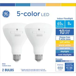 GE Household Lighting GE 65W BR30 Light Bulb