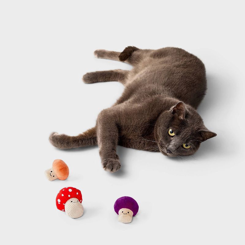slide 2 of 3, Toadstool Friends Cat Plush Toy Set - 3pc - Boots & Barkley™, 3 ct