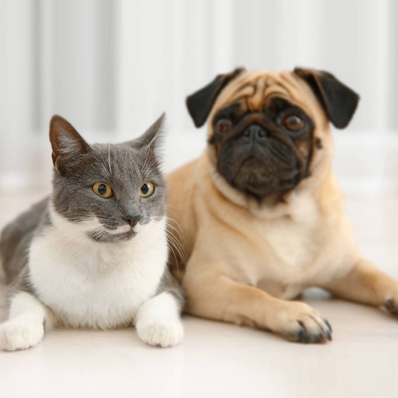 slide 3 of 5, Hoover Oxy Pet 32oz Portable Formula, 32 oz