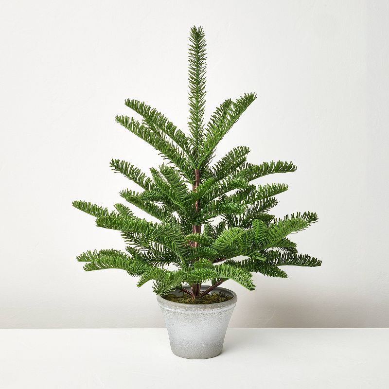 slide 1 of 4, Hearth & Hand with Magnolia 22" Potted Spruce Artificial Tree - Hearth & Hand™ with Magnolia, 1 ct