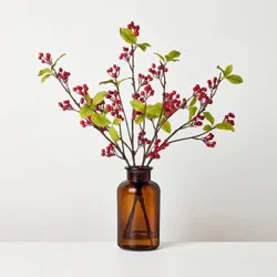Hearth & Hand with Magnolia 19" Red Berry in Amber Glass Artificial Arrangement - Hearth & Hand™ with Magnolia