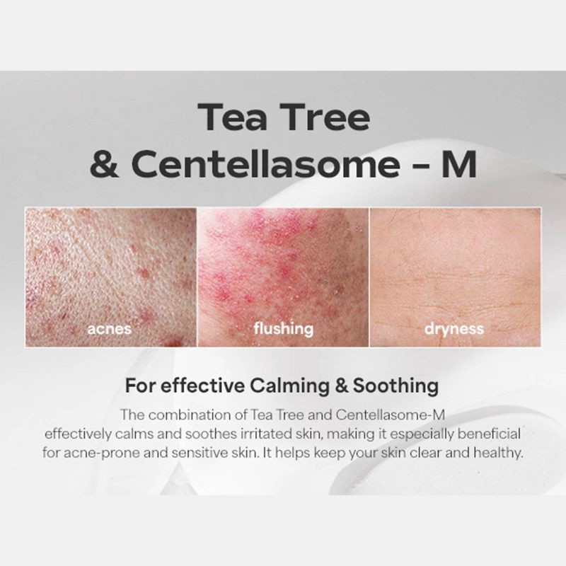 slide 4 of 10, SUNGBOON EDITOR Deep Collagen Overnight Facial Mask - CICA Teatree, 1 ct